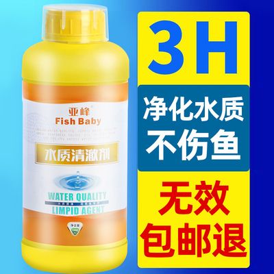 龍魚不肯吃東西的原因分析：龍魚不肯吃東西怎么辦？ 水族問答 第1張