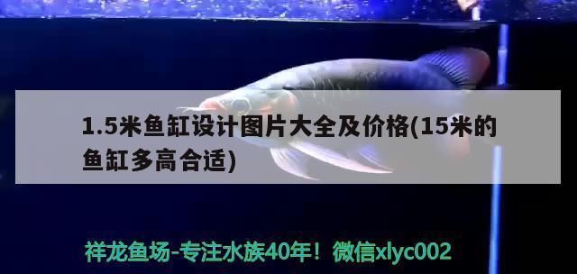 龍魚缸多高最好vs祥龍魚場：祥龍魚缸高度的選擇對觀賞魚的生活環(huán)境有著重要影響 vs祥龍魚場 第5張