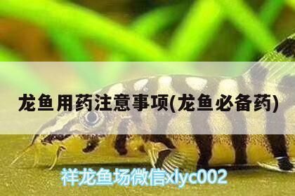 龍魚常用藥vs祥龍魚場：祥龍魚場推薦的一些龍魚常用藥及其用途 vs祥龍魚場 第2張