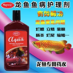 龍魚爛尾怎么治療：龍魚爛尾病的日常護(hù)理措施，龍魚爛尾病的日常護(hù)理 龍魚百科 第5張