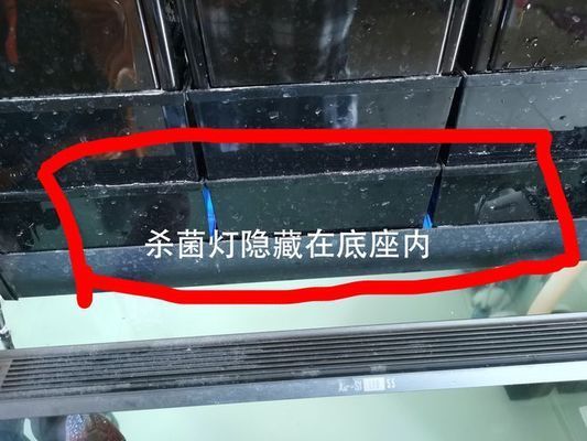 龍魚魚缸在什么情況時可以開殺菌燈：如何正確使用殺菌燈 龍魚百科 第3張