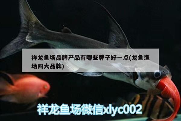 定龍魚線質量怎么樣vs祥龍魚場：定龍魚線和祥龍魚場的魚線質量對比祥龍魚場口碑如何 vs祥龍魚場 第1張