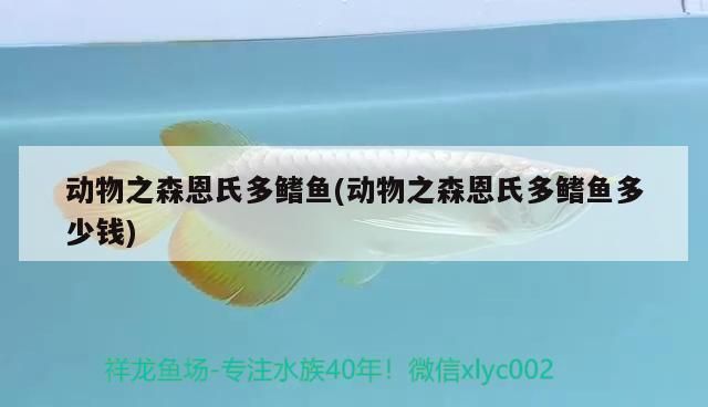 龍魚打斗咬傷用諾佛沙星可以嗎vs祥龍魚場：龍魚打斗咬傷用諾佛沙星可以嗎 vs祥龍魚場 第1張