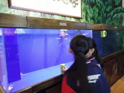 龍魚不吃活魚vs祥龍魚場(chǎng)：龍魚不吃飼料只吃小魚怎么辦 vs祥龍魚場(chǎng) 第14張