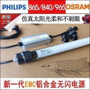 龍魚吃魚糧嗎vs祥龍魚場：龍魚可以吃魚糧嗎