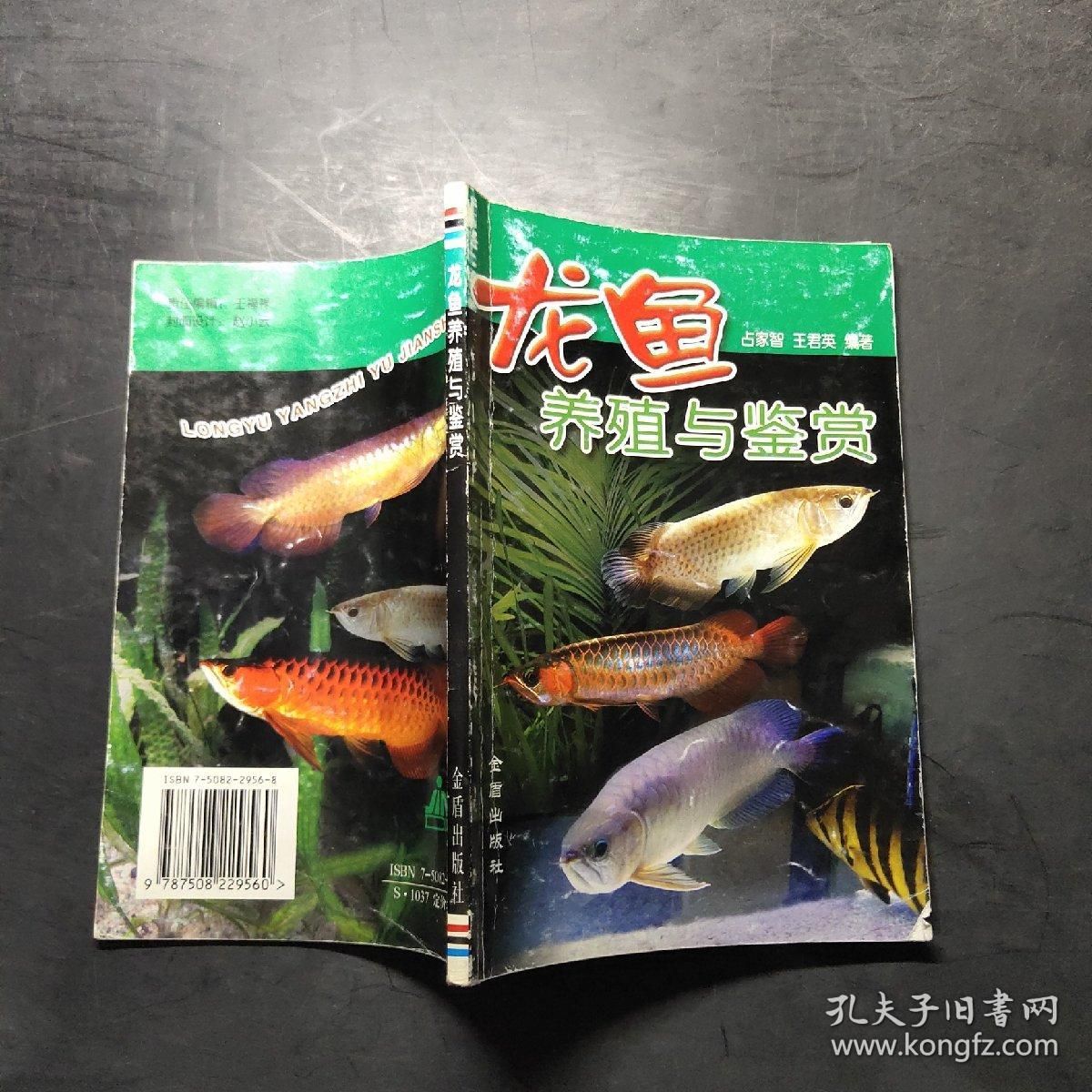 龍魚的養(yǎng)殖與鑒賞：關于龍魚養(yǎng)殖與鑒賞和鑒賞和鑒賞龍魚的詳細信息 龍魚百科 第2張