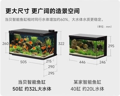 龍魚魚缸尺寸標準表大全：龍魚缸尺寸標準表 龍魚百科 第3張