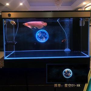 龍魚缸用什么背景好vs祥龍魚場：龍魚缸背景材質(zhì)選擇,祥龍魚場背景設(shè)計案例 vs祥龍魚場 第1張