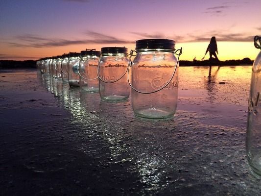 龍魚多少錢一條 白色vs祥龍魚場：白色龍魚和祥龍魚場價格波動，白色金龍魚價格波動，價格波動 vs祥龍魚場 第1張