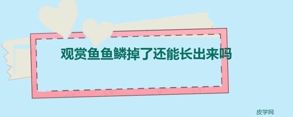 龍魚的魚鱗掉了還能長嗎vs祥龍魚場：龍魚掉鱗后的恢復(fù)時間 vs祥龍魚場 第1張