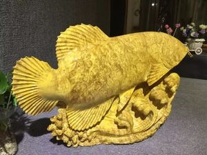 龍魚哪里買好又便宜又好吃：新埠島碼頭海鮮市場攻略紅龍魚養(yǎng)殖技巧分享 龍魚百科 第3張