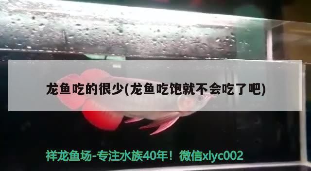 龍魚吃東西少怎么回事vs祥龍魚場：紅龍魚吃得少怎么回事 vs祥龍魚場 第4張