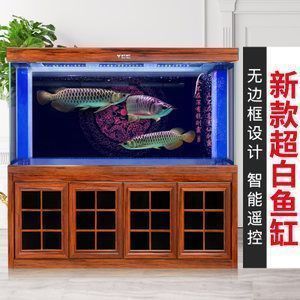 龍魚多少錢一條vs祥龍魚場：龍魚與祥龍魚場的價格 vs祥龍魚場 第2張