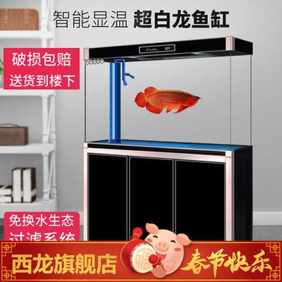 龍魚豎在魚缸：龍魚為什么會豎在魚缸中 龍魚百科 第2張