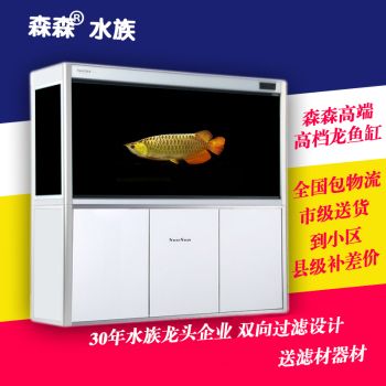 龍魚得水霉病怎么治vs祥龍魚場：祥龍魚場龍魚品種介紹,治療龍魚水霉病的藥物，龍魚日常護(hù)理要點(diǎn) vs祥龍魚場 第2張