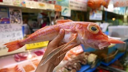 龍魚好吃嗎口感如何vs祥龍魚場：祥龍魚場與龍魚口感好吃與否之間的比較內(nèi)容