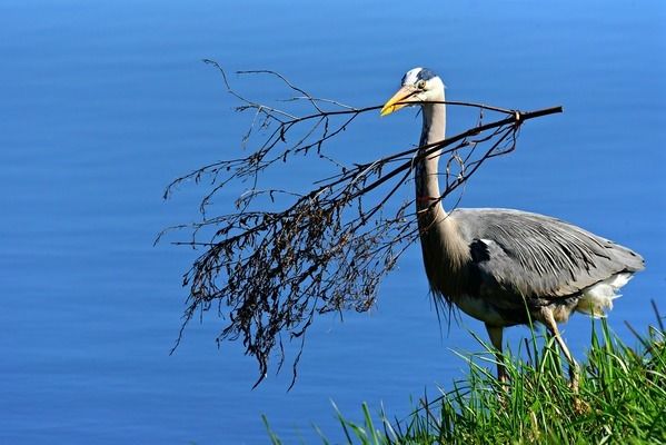 養(yǎng)龍魚水流量多大合適：養(yǎng)龍魚的水流量應(yīng)該根據(jù)魚缸的大小、所需的水泵流量 龍魚百科 第5張