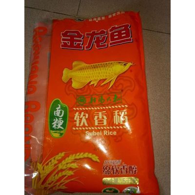 龍魚細(xì)菌感染用什么抗生素好：如何判斷龍魚感染類型，龍魚抗生素使用注意事項(xiàng) 龍魚百科 第3張