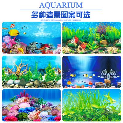 龍魚吃食嚼一嚼就吐了什么原因引起的：龍魚吃食后吐怎么辦 水族問答 第2張