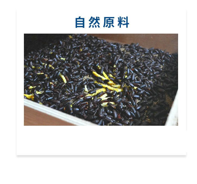 龍魚(yú)黑水虻 龍魚(yú)百科 第2張