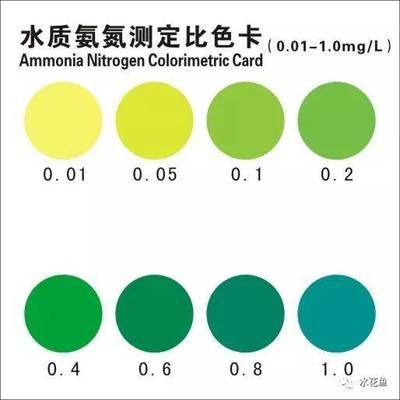 龍魚(yú)需要水質(zhì)ppm是多少：飼養(yǎng)龍魚(yú)需要嚴(yán)格控制水質(zhì)的各項(xiàng)指標(biāo)，龍魚(yú)水質(zhì)管理的常見(jiàn)誤區(qū) 龍魚(yú)百科 第3張