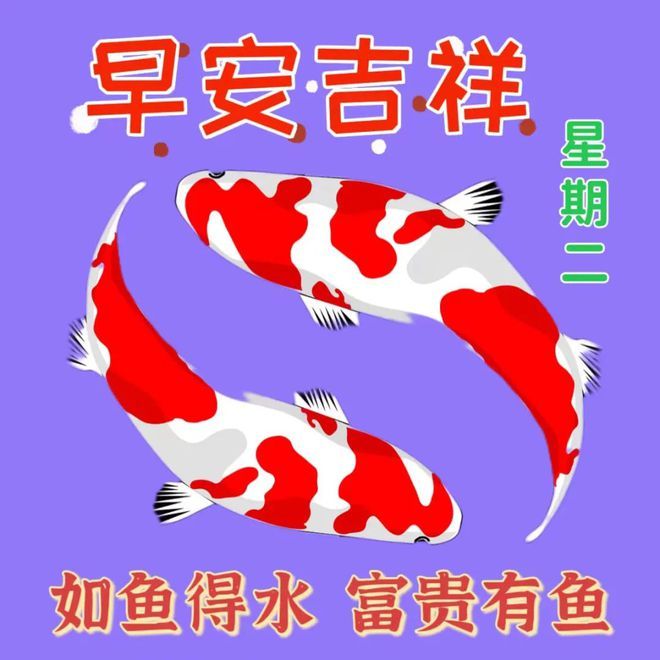 龍魚(yú)得水是什么意思：龍魚(yú)得水的典故 龍魚(yú)百科 第1張