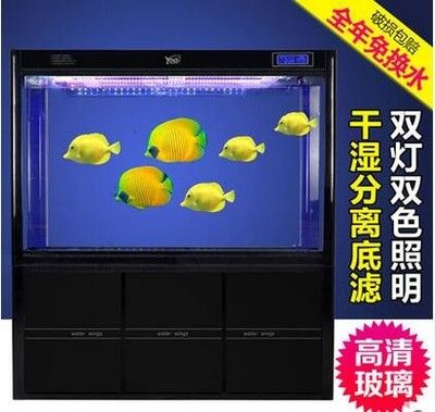 龍魚用led燈行嗎：如何選擇適合龍魚的led燈 龍魚百科 第1張