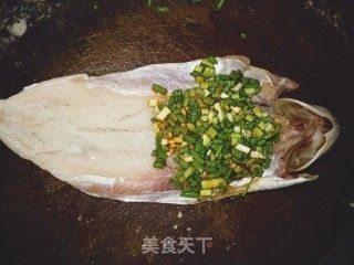 龍魚家常做法竅門是什么：清蒸龍魚香氣提升秘訣番茄龍魚酸甜口味調(diào)配竅門 龍魚百科 第1張