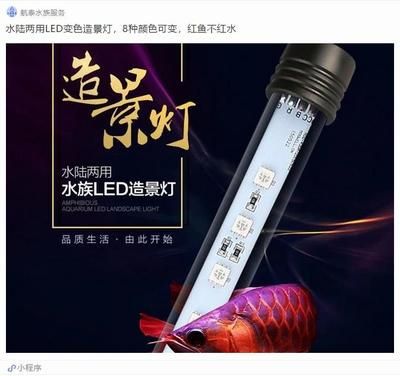 龍魚(yú)用led能發(fā)色嗎視頻：led燈對(duì)龍魚(yú)的發(fā)色有一定的作用 龍魚(yú)百科 第5張