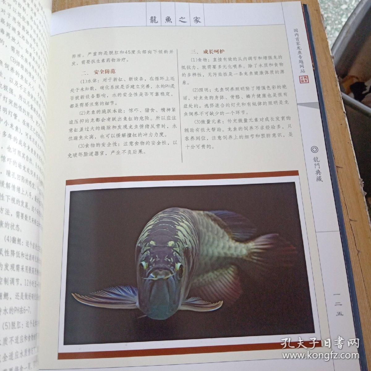 龍魚(yú)身體有點(diǎn)傾斜怎么辦：龍魚(yú)身體傾斜怎么辦 龍魚(yú)百科 第3張