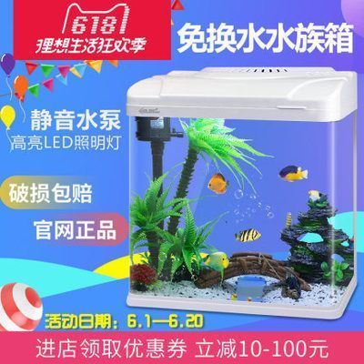 薩伊藍魚與龍魚混養(yǎng)案例分析：薩伊藍魚與龍魚可以混養(yǎng)嗎？ 龍魚百科 第2張