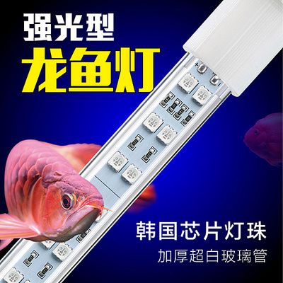 龍魚什么時候不用加熱棒：龍魚養(yǎng)殖溫度控制技巧,不同季節(jié)養(yǎng)龍魚注意事項 龍魚百科 第2張