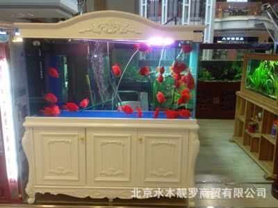 龍魚魚缸廠家：亞力克龍魚魚缸價格對比科沃斯智能魚缸戶外養(yǎng)殖效果 龍魚百科 第3張