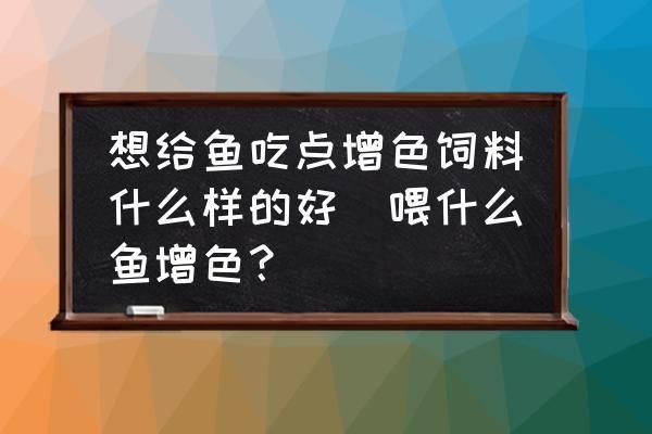 龍魚到家多久喂食合適：關(guān)于龍魚喂食的問(wèn)題 水族問(wèn)答 第1張