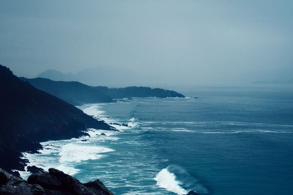 龍魚得多大的魚缸最好養(yǎng)：-龍魚適合在多少升的水箱中生活 水族問答 第2張