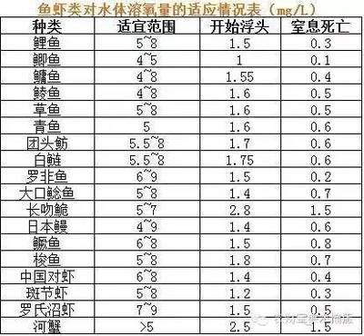 龍魚地缸：龍魚地缸如何設(shè)計與布置 水族問答 第1張