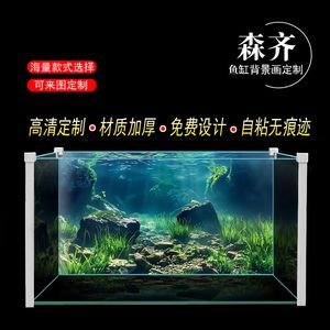 龍魚(yú)魚(yú)缸背景紙什么顏色好：選擇龍魚(yú)魚(yú)缸背景紙的顏色需要綜合考慮多種因素 龍魚(yú)百科 第3張