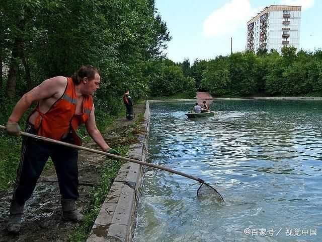 控制光照對水質(zhì)的具體操作方法：控制光照是改善和維持水質(zhì)的關(guān)鍵方法 龍魚百科 第1張