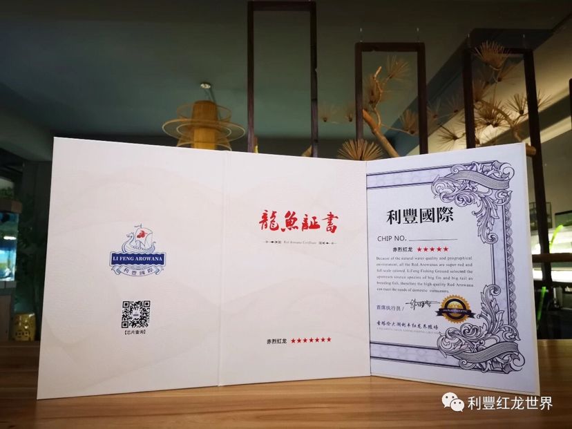 龍魚證書號碼查詢官網(wǎng)：如何查詢龍魚證書號碼 龍魚百科 第5張