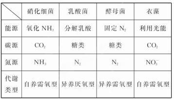 龍魚的壽命多長：-龍魚的生命周期通常有多長，如何延長龍魚的壽命 水族問答 第1張