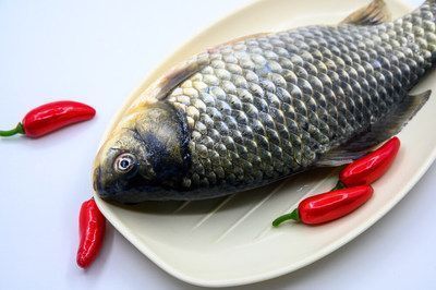 龍魚能吃嗎怎么做法vs祥龍魚場(chǎng)：如何辨別龍魚品質(zhì) vs祥龍魚場(chǎng) 第5張