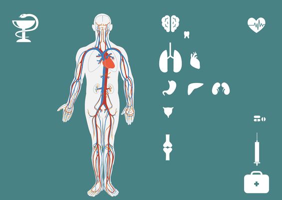 申古三間魚常見疾病的早期癥狀：如何判斷申古三間魚是否患腸炎 龍魚百科 第1張