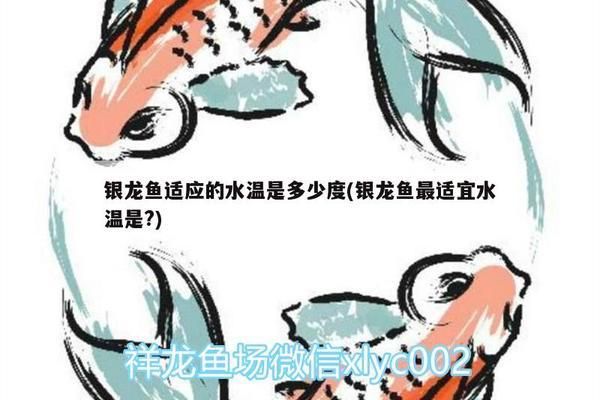 龍魚水溫19度能撐多久呢vs祥龍魚場：龍魚適宜的水溫19度能撐多久龍魚水溫對龍魚的影響 vs祥龍魚場 第3張