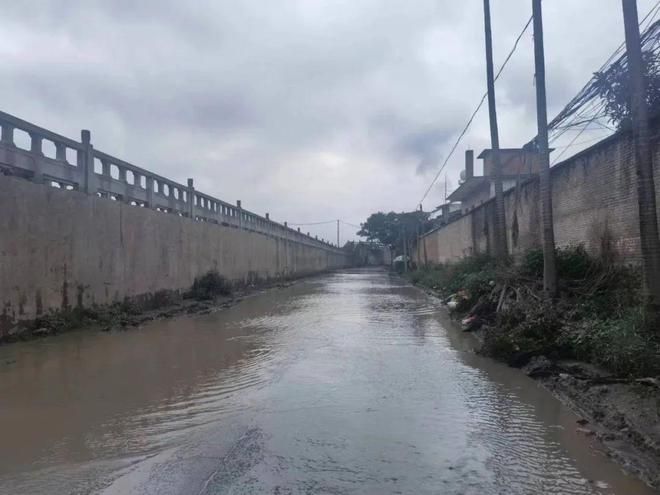 龍魚牌油漆價格多少：龍魚牌油漆市場口碑評價：龍魚牌油漆顏色選擇指南 龍魚百科 第5張