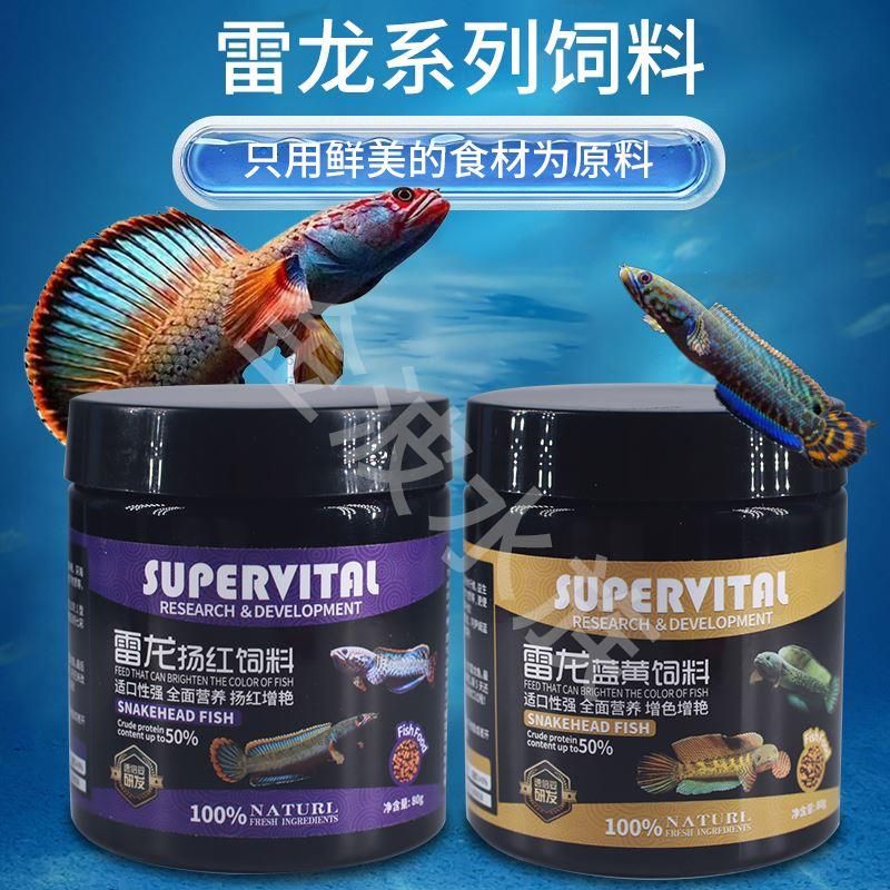 雷龍魚飼料排行榜最新：探索雷龍魚飼料最新排名 龍魚百科 第1張