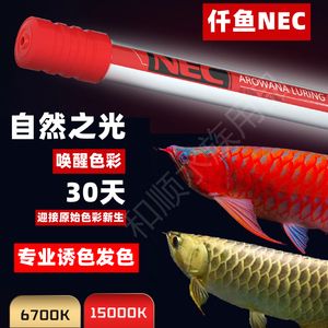 龍魚發(fā)色專用燈：龍魚發(fā)色專用燈品牌推薦 龍魚百科 第3張