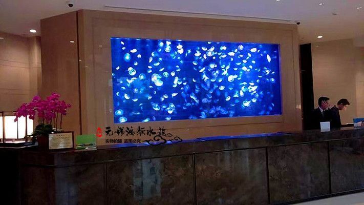 嘉興龍魚vs嘉興水族批發(fā)市場(chǎng)vs嘉興水族館vs嘉興魚缸批發(fā)市場(chǎng)vs祥龍魚場(chǎng)：嘉興水族批發(fā)市場(chǎng)、嘉興魚缸批發(fā)市場(chǎng)、祥龍魚場(chǎng)魚類品種介紹