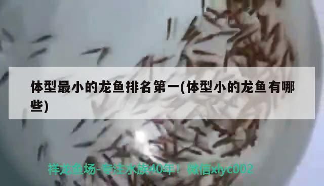 龍魚身上掉皮怎么辦啊vs祥龍魚場：如何預(yù)防龍魚掉皮 vs祥龍魚場 第2張