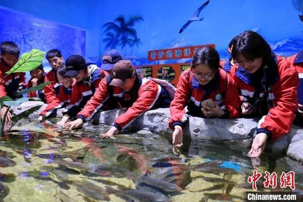 果洛藏族自治州龍魚vs果洛藏族自治州水族批發(fā)市場vs果洛藏族自治州水族館vs果洛藏族自治州魚缸批發(fā)市場vs祥龍魚場：果洛藏族自治州水族館vs果洛藏族自治州水族批發(fā)市場vs祥龍魚場 祥龍魚場各市分站 第5張