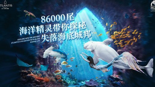 三亞龍魚vs三亞水族批發(fā)市場vs三亞水族館vs三亞魚缸批發(fā)市場vs祥龍魚場：三亞水族批發(fā)市場